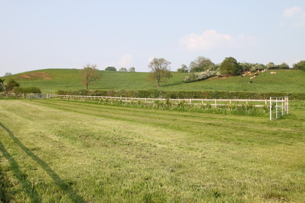 Gasthaus Wootton Park Wootton Wawen Exterior foto